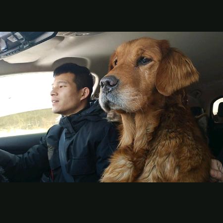 小迟和流浪狗的故事