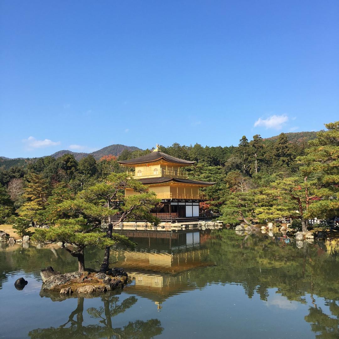 领域哥
