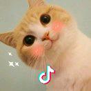 纯真^_^