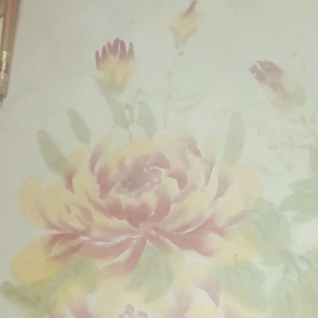 韩英豪