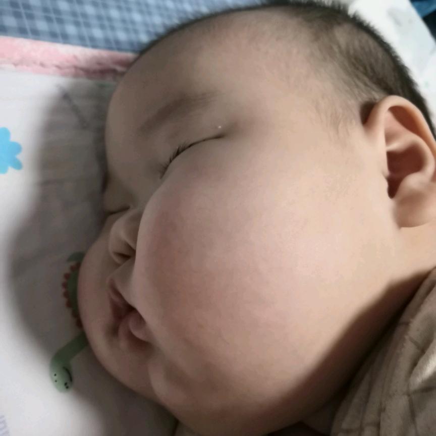 硕奶奶