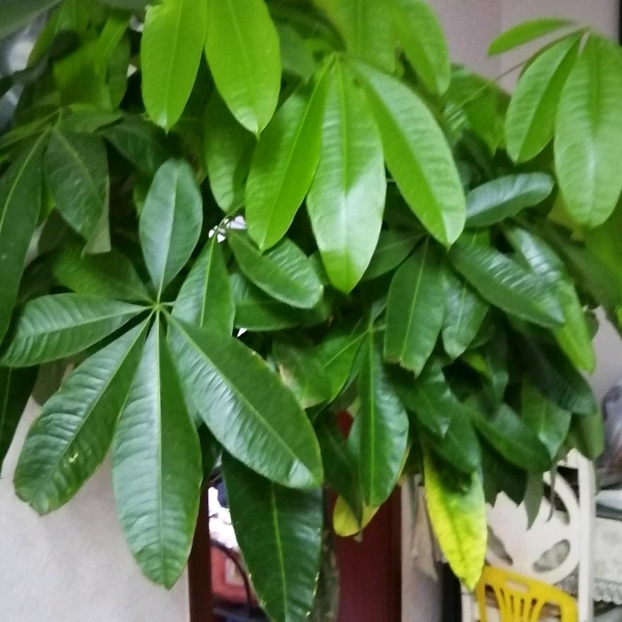 斌哥聊天室