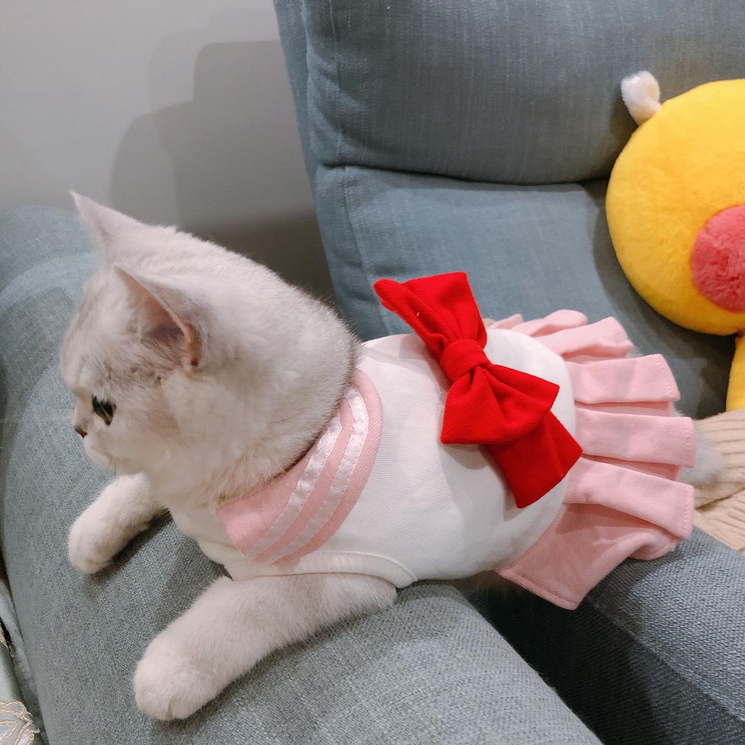Cooky侯喵喵