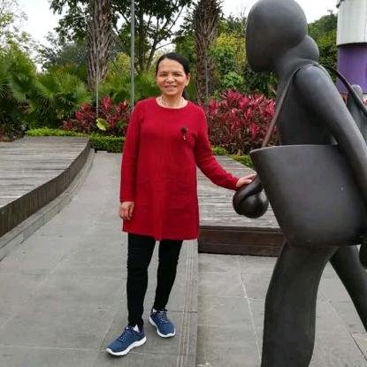 杨晓红