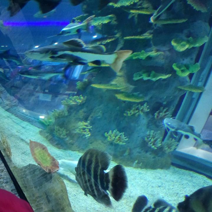 拼搏小哥✨