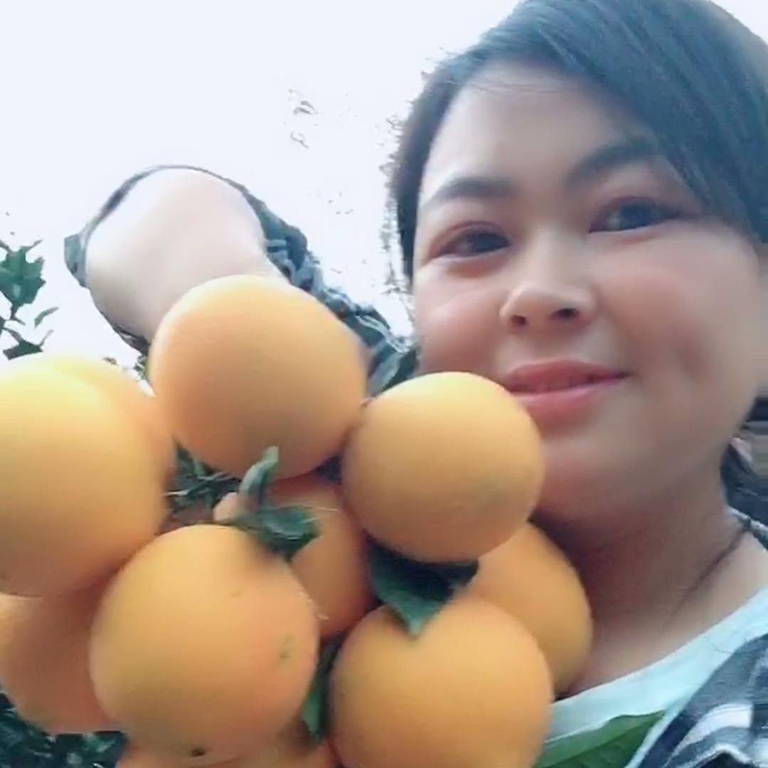 博源脐橙农场
