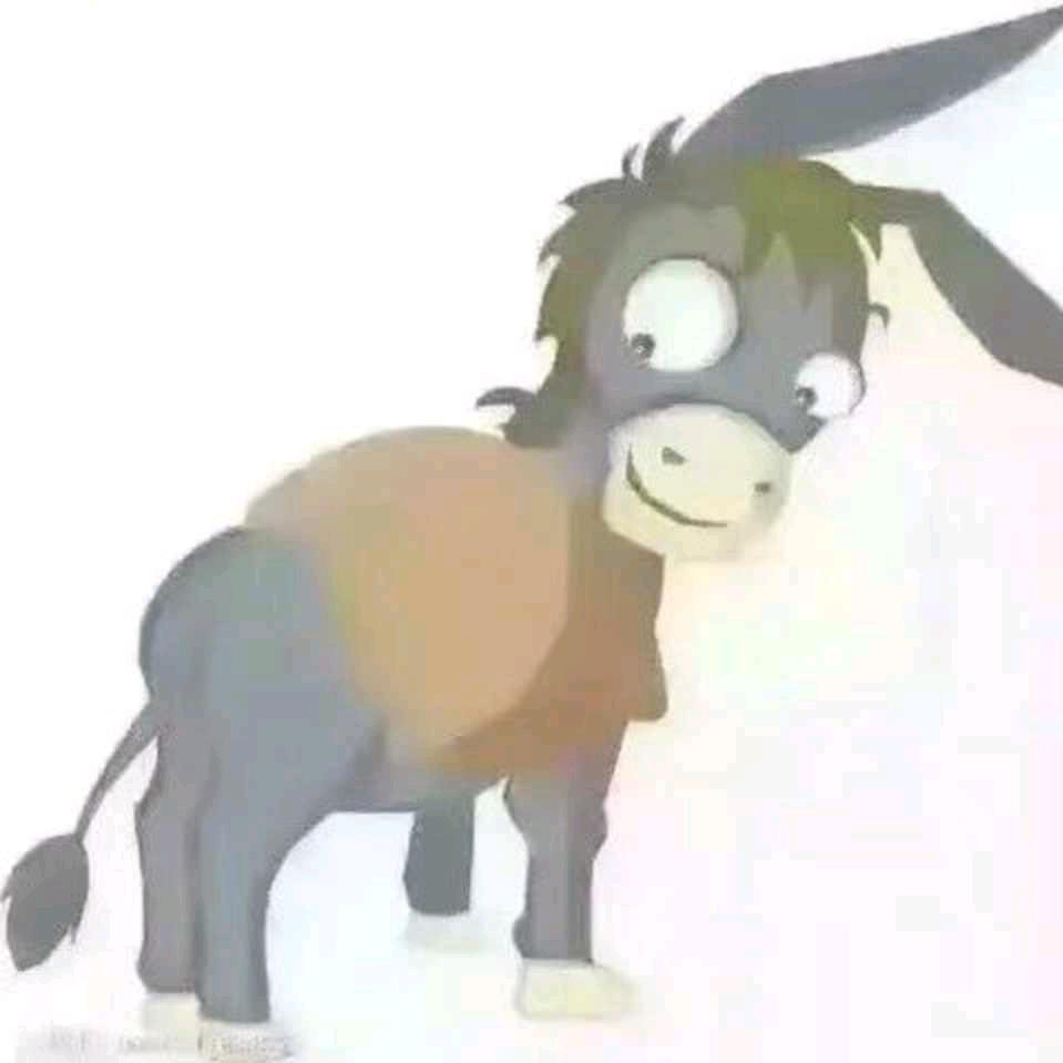 青芒互动