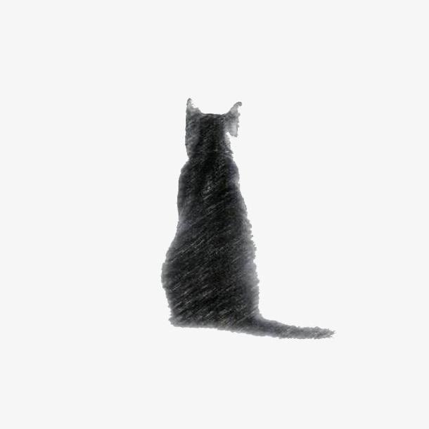 铲屎君