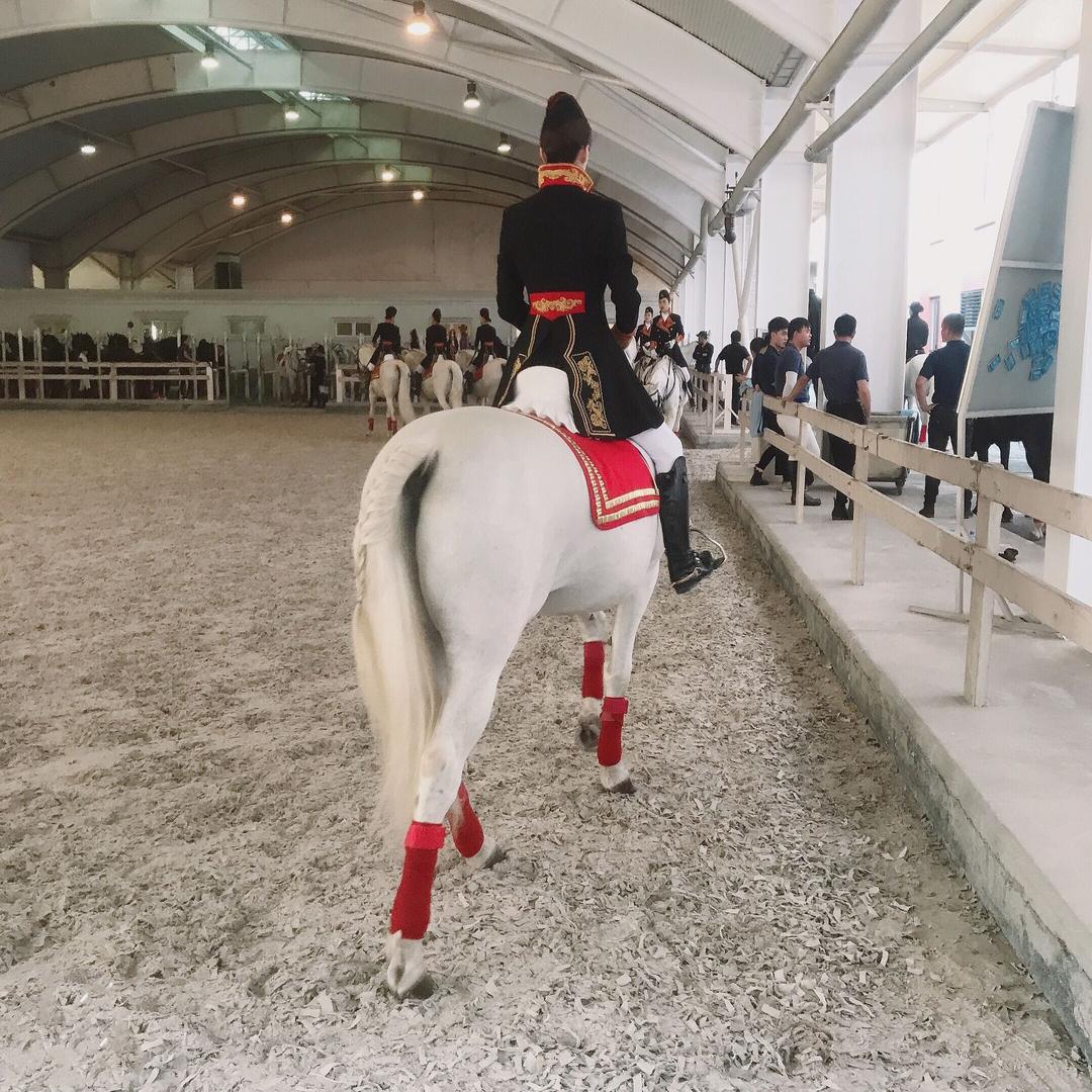 养了两只狗🐶的马术骑手🐎