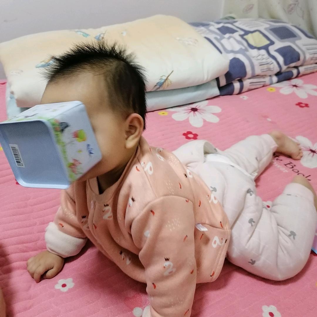 大宝子呀