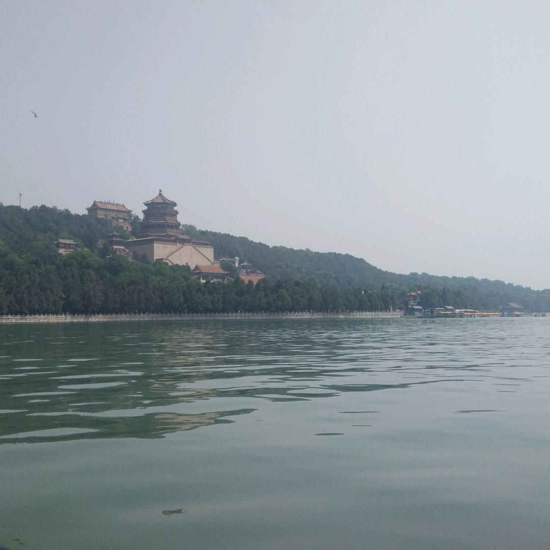 朝莉