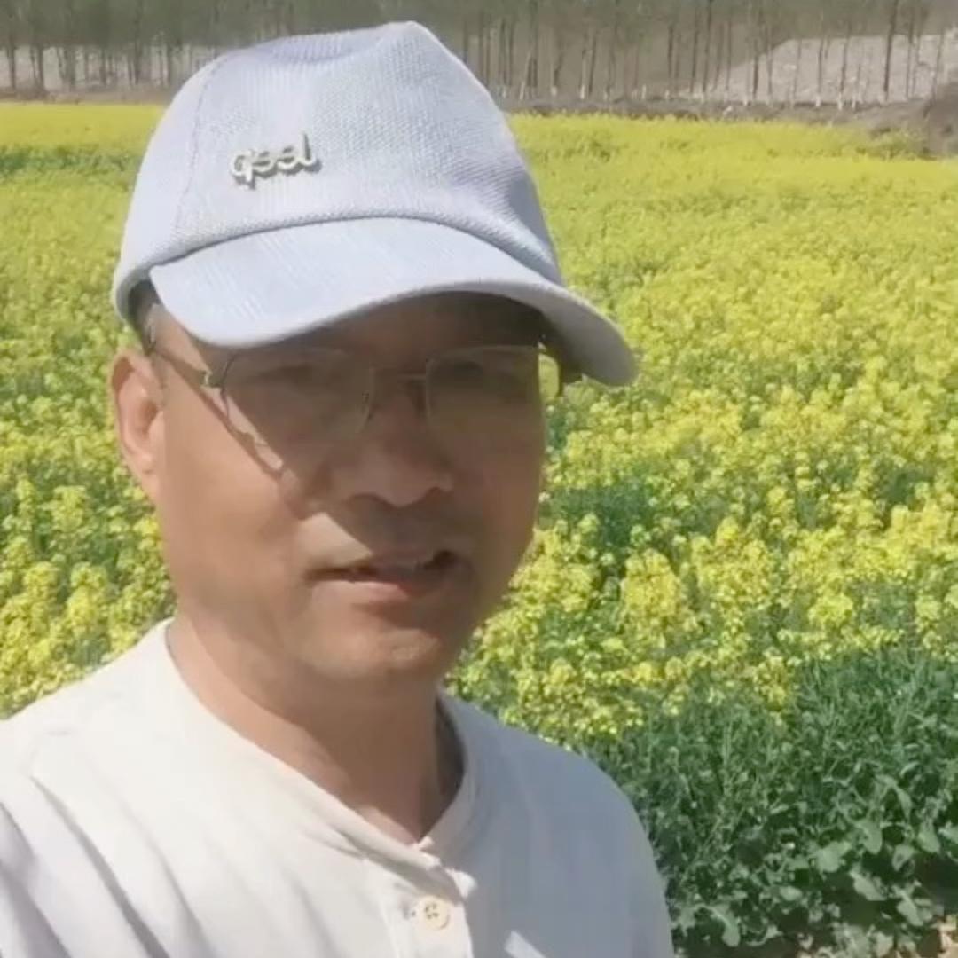 云淡风轻🐰