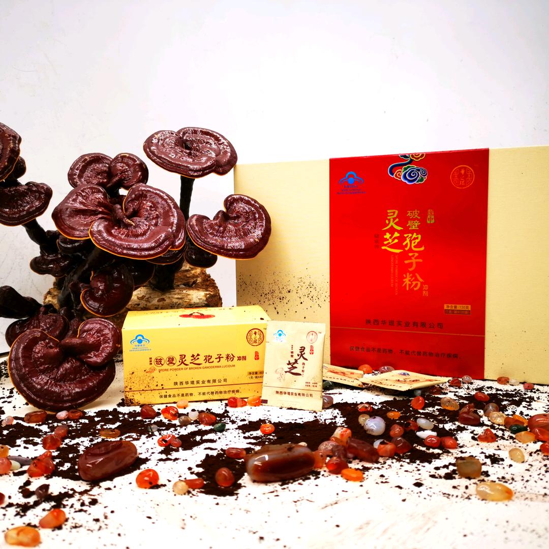 灵芝姐姐