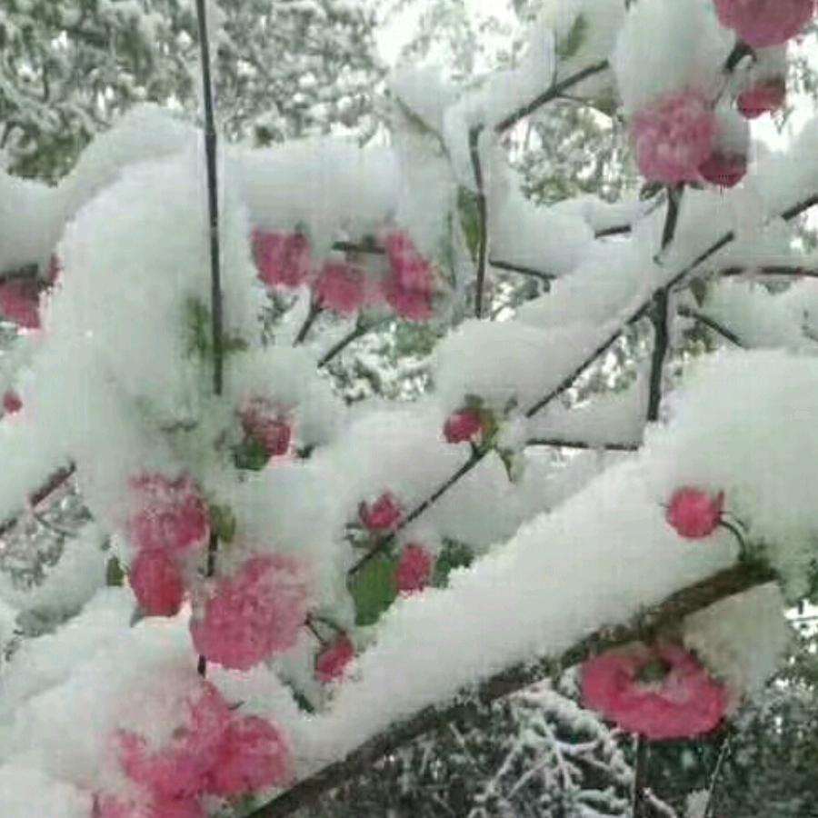 阿东
