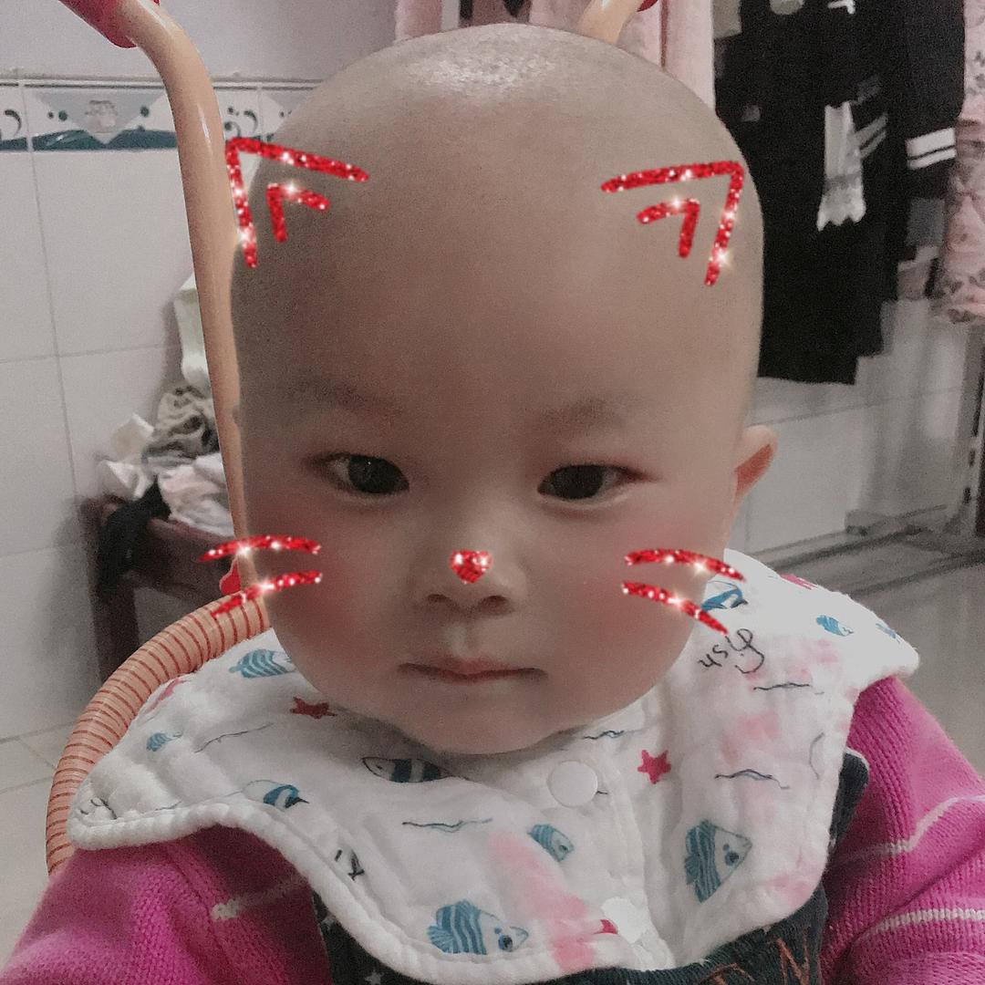 不再恋爱
