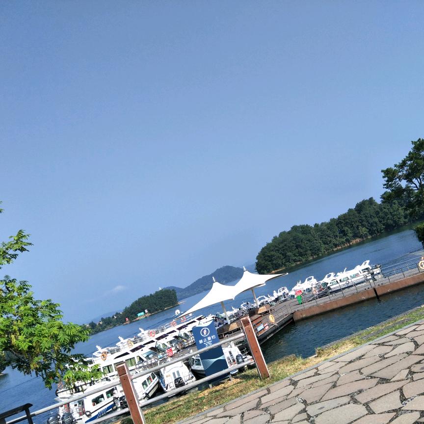 伊念