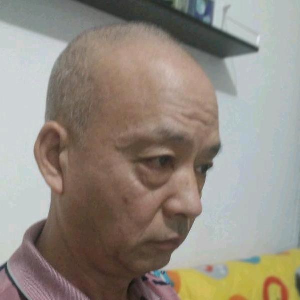 成虫