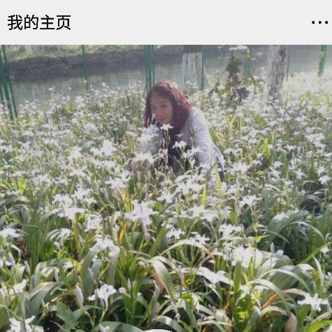 思绪的云