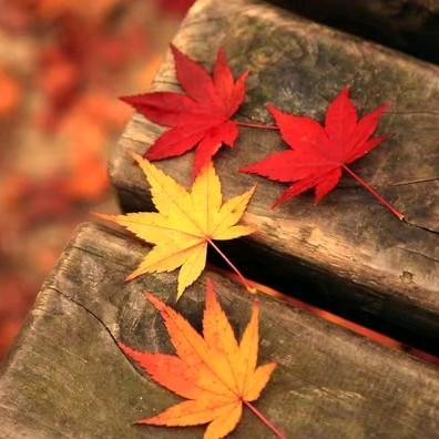 juan🍁🍂🌾🌺