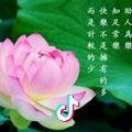 🌈从小翟已然的成为了老翟