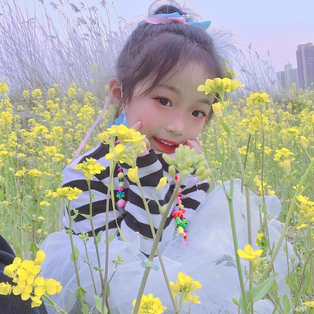 樱花涵