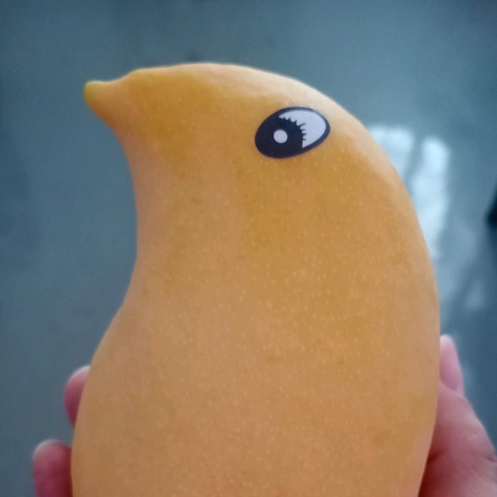香草