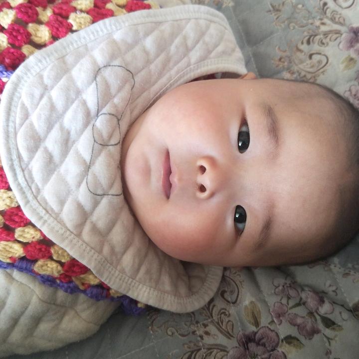 小白