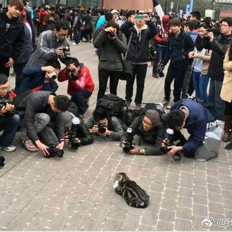 糖小特儿