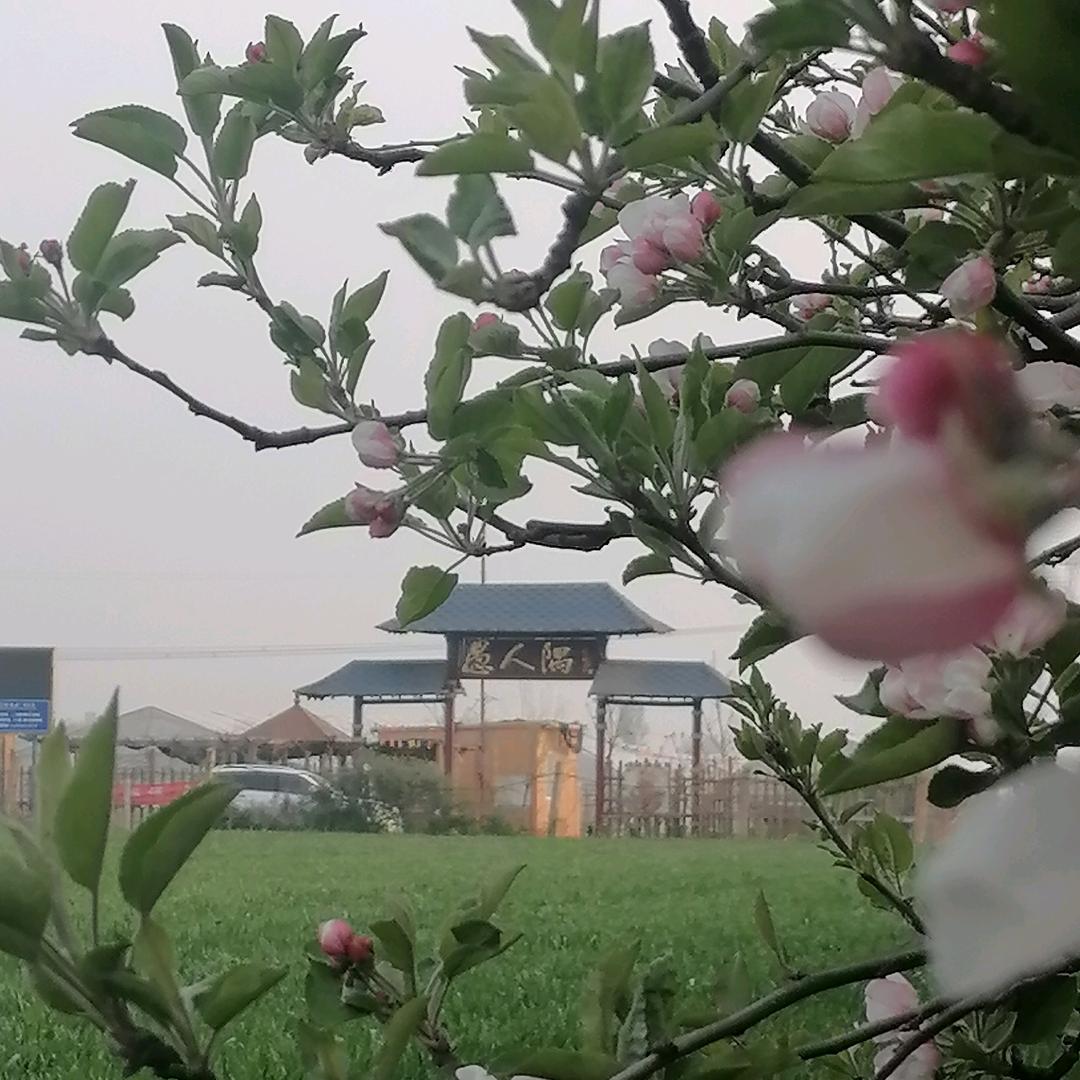愚人隅