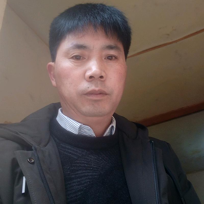 老胡哥