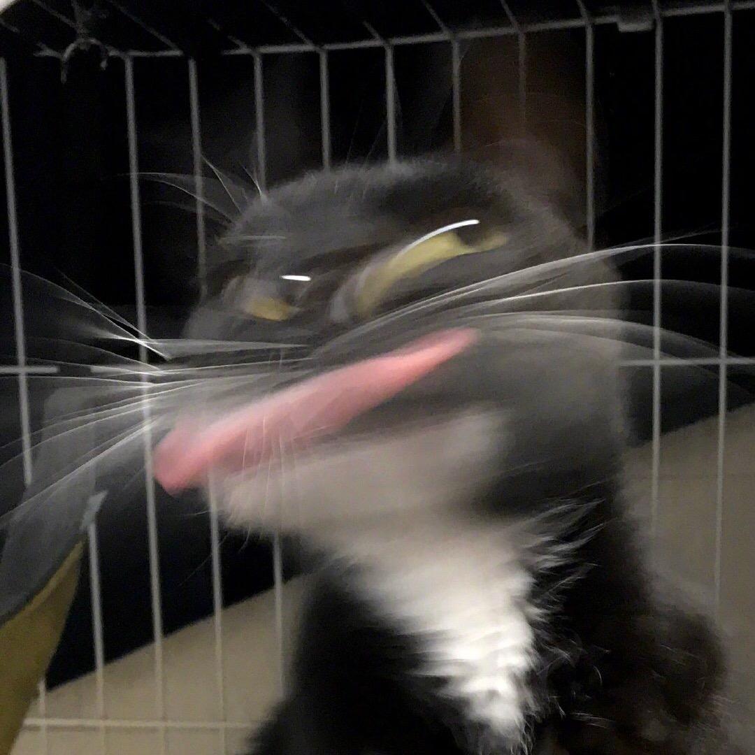 是小剧啊