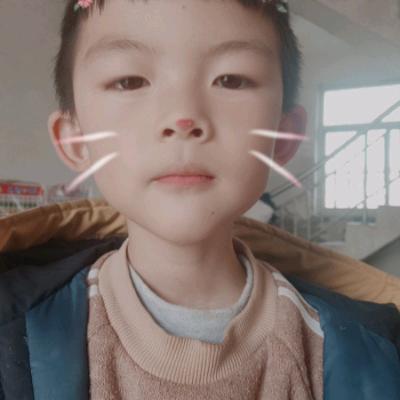 顾家四小姐