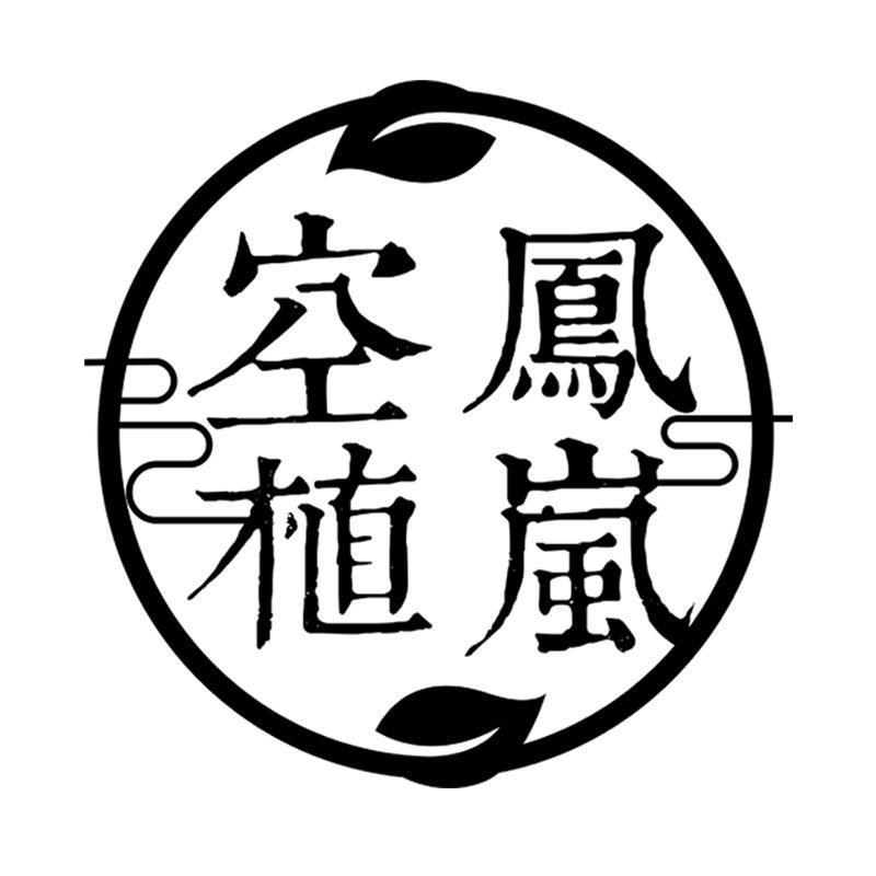 空凤植岚 空气凤梨花卉工作室