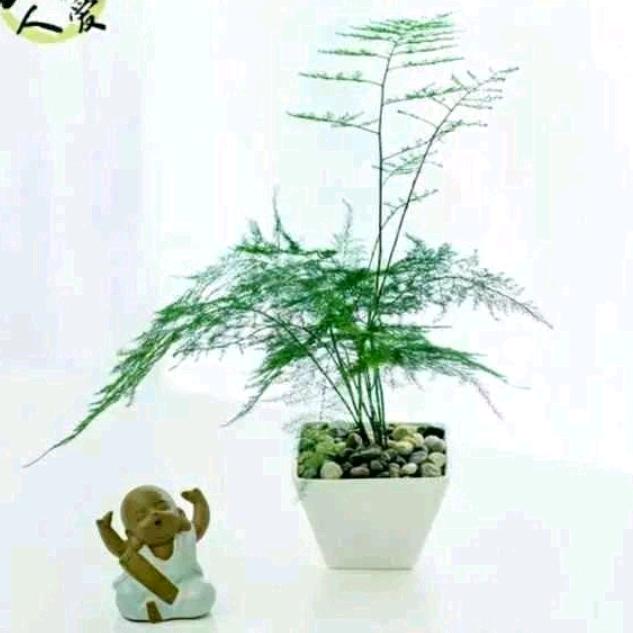 珍惜彼此