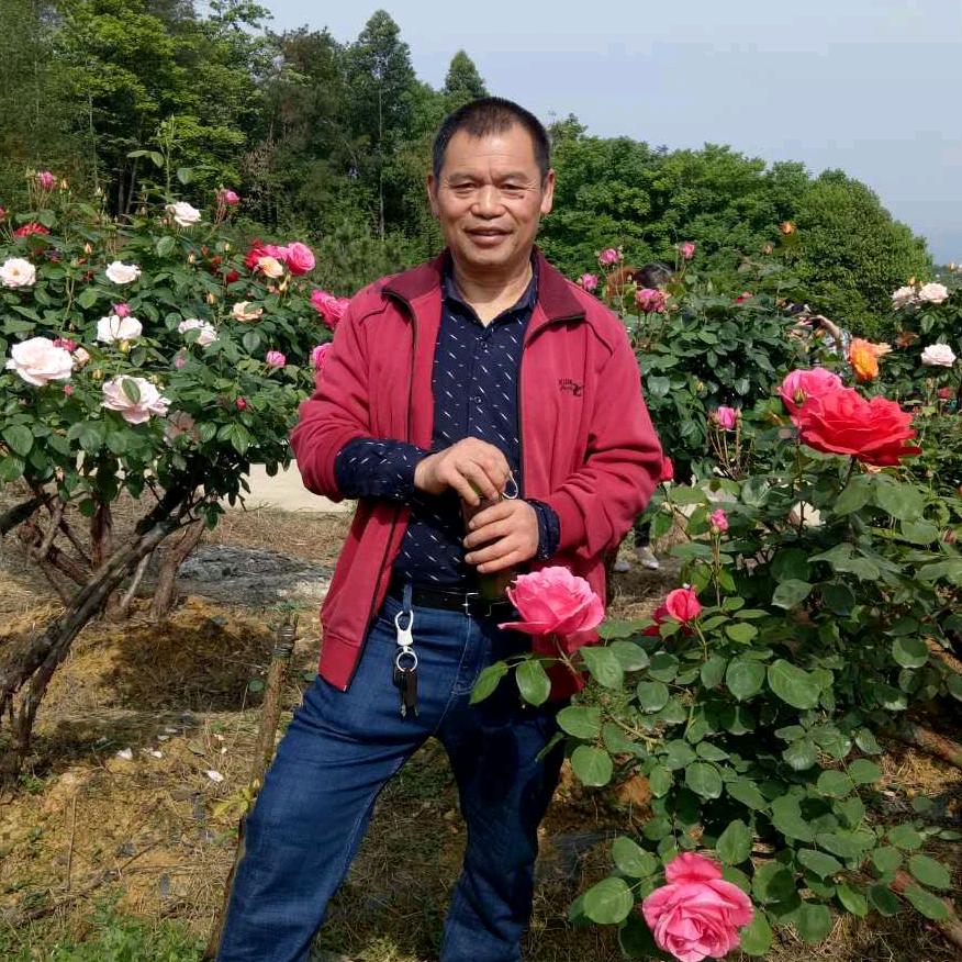 人生就是梦