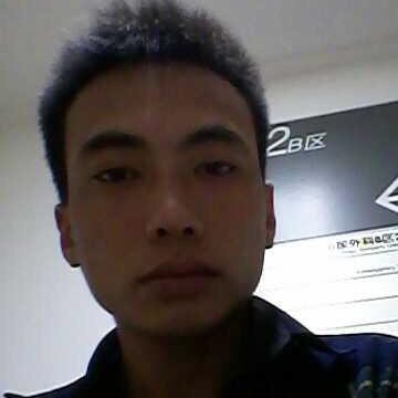 波仔很迷茫