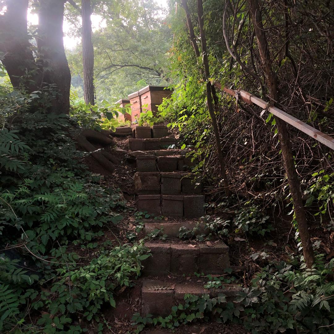 小泽蜜蜂场
