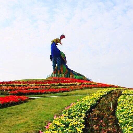 花样万安