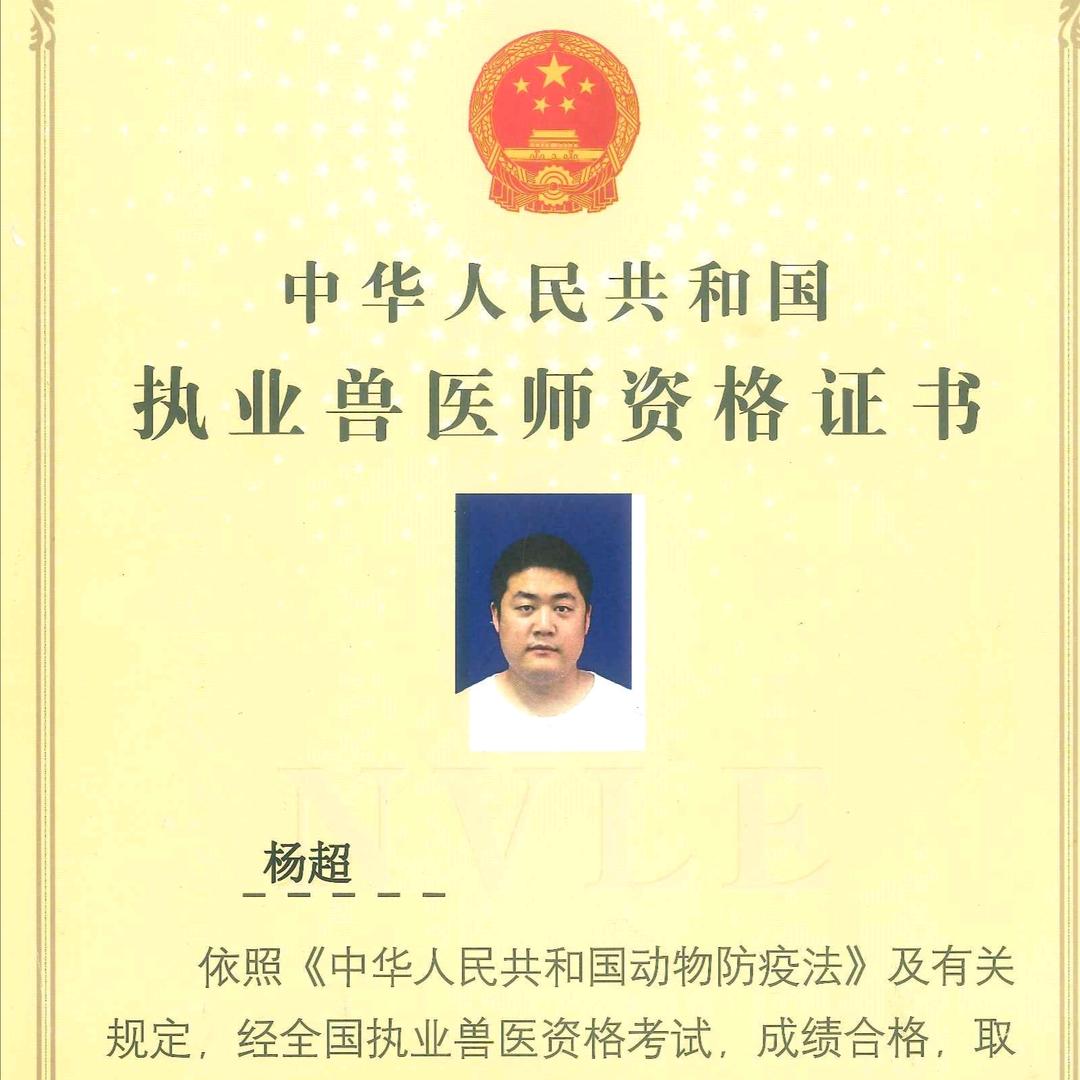 宜昌兽医杨超