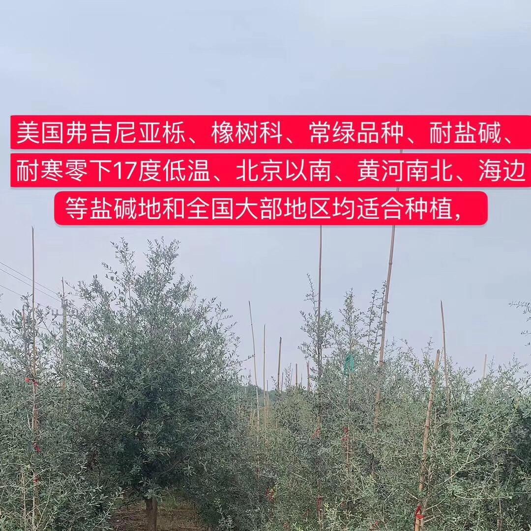 长兴永诚园林绿化工程有限公司