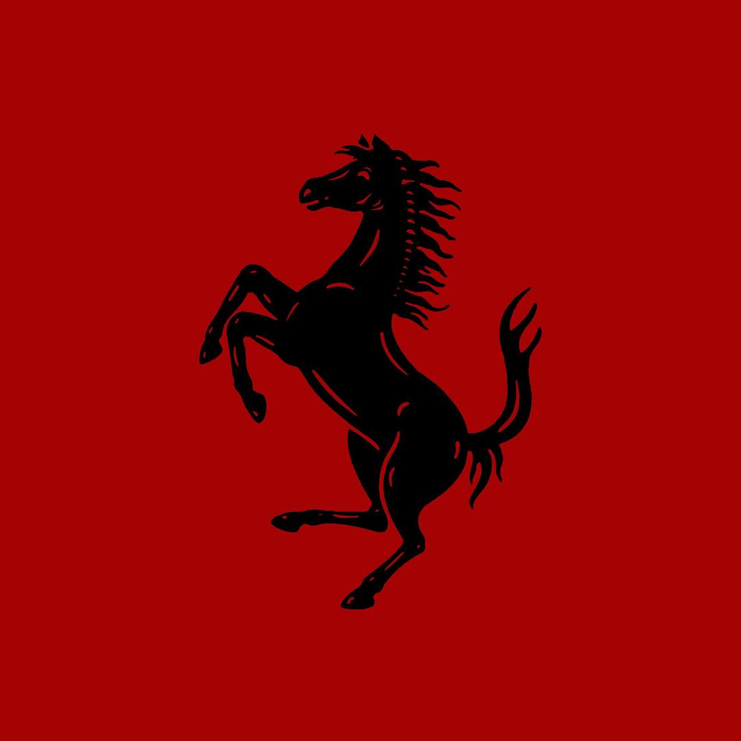 法拉利杨瑞