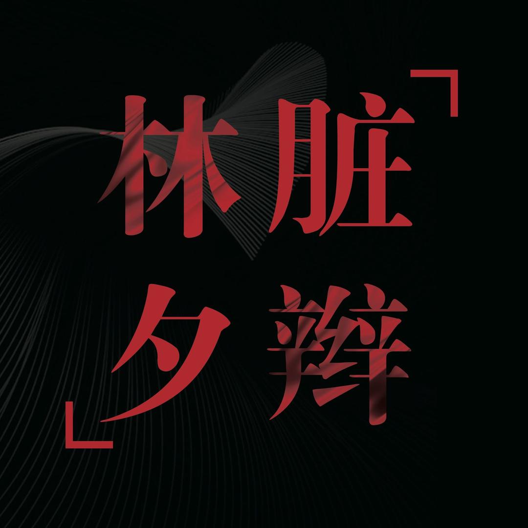 深圳市林夕脏辫工作室