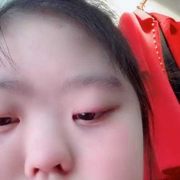 一个猪