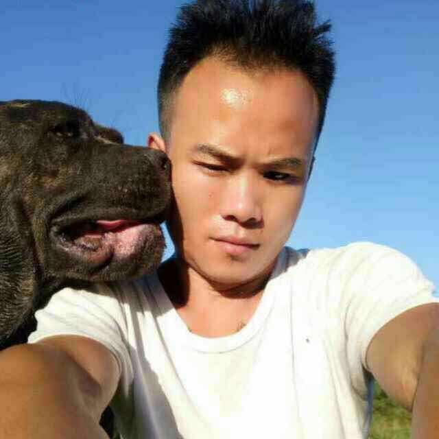 洞口县黄桥镇阿通捷克狼卡斯罗爱犬俱乐部