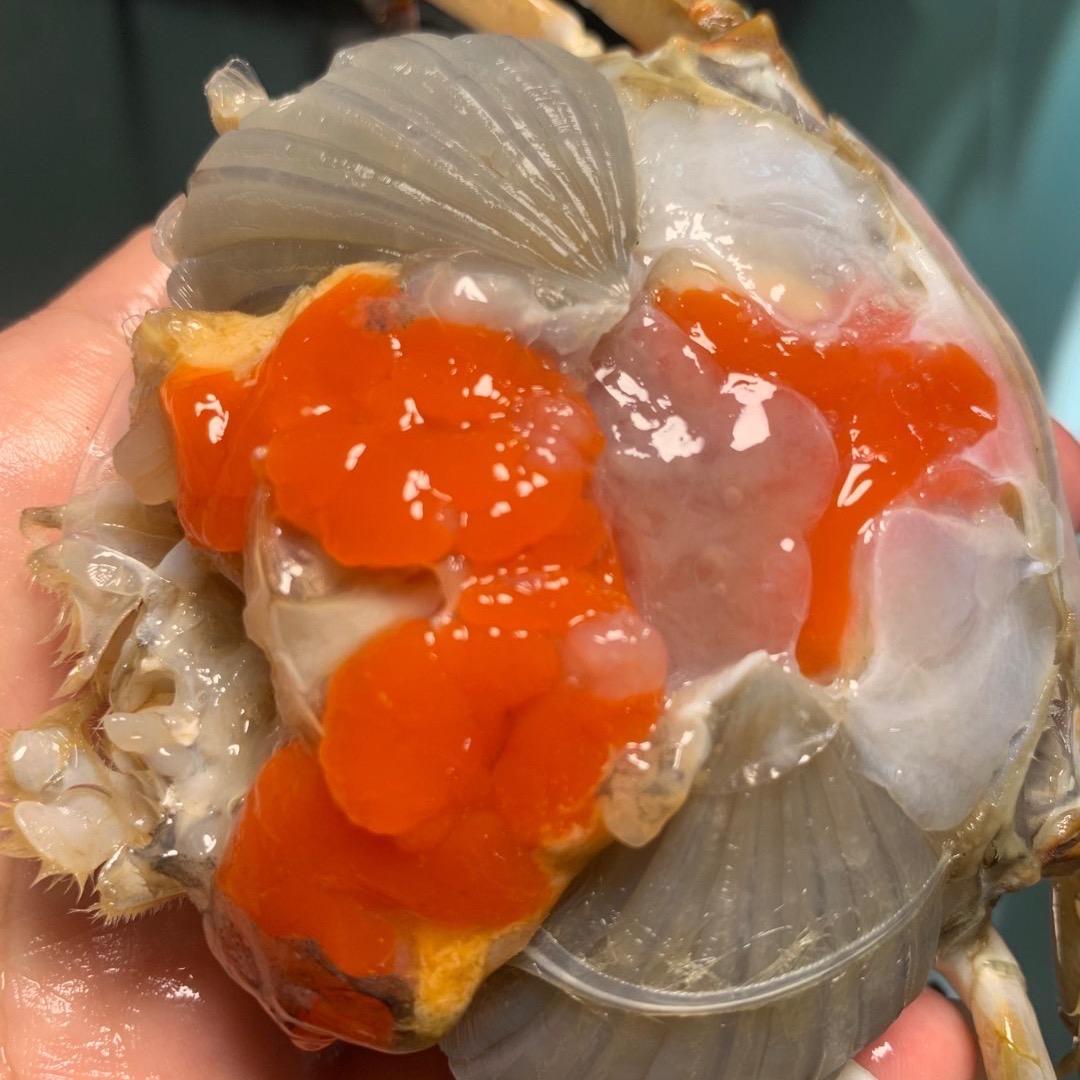 石浦美妈海鲜直播间