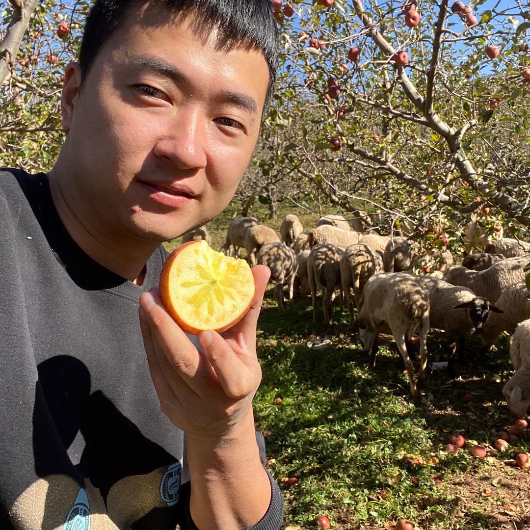 鑫达鲜果