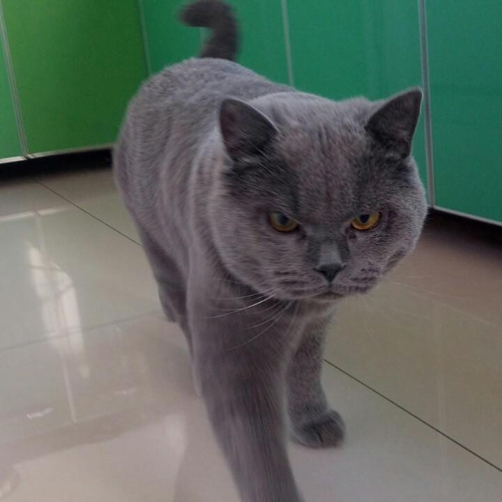 郭✔包肉