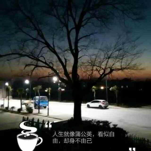 王维群