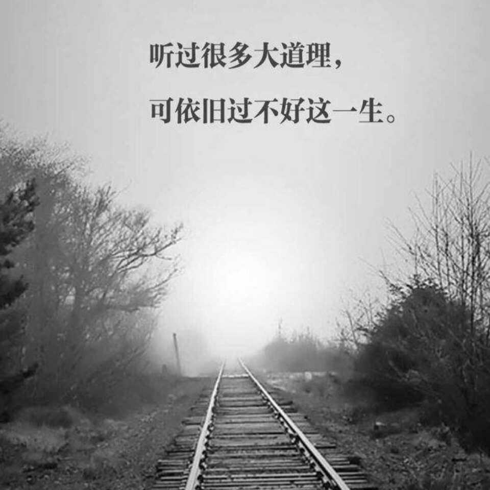 风云独舞