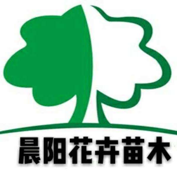 晨阳花卉